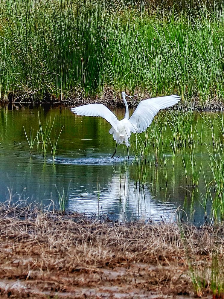 Photograph by Евгений Хорошилов