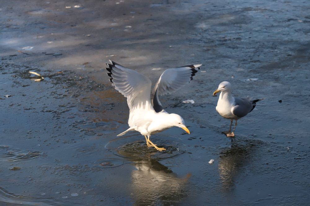 Photograph by Евгений Хорошилов