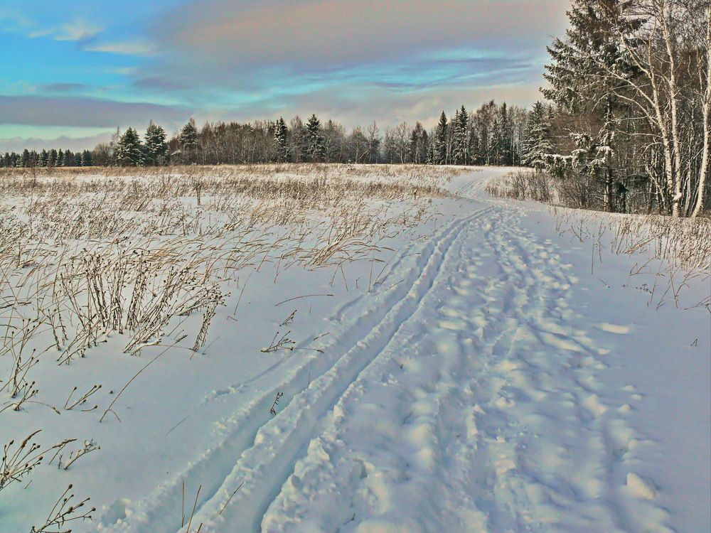 Фотография автора Анатолий Борисов
