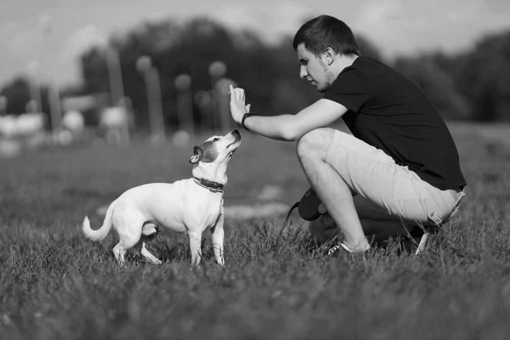 Photograph by Михаил Силантьев