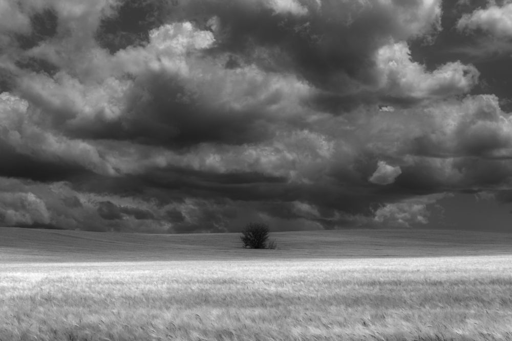 Фотография автора Rustem Muraxas