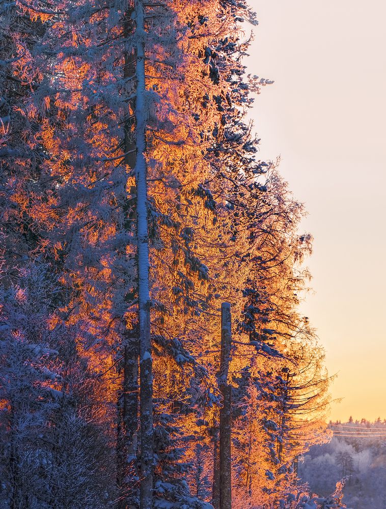 Photograph by Анжелика Титова