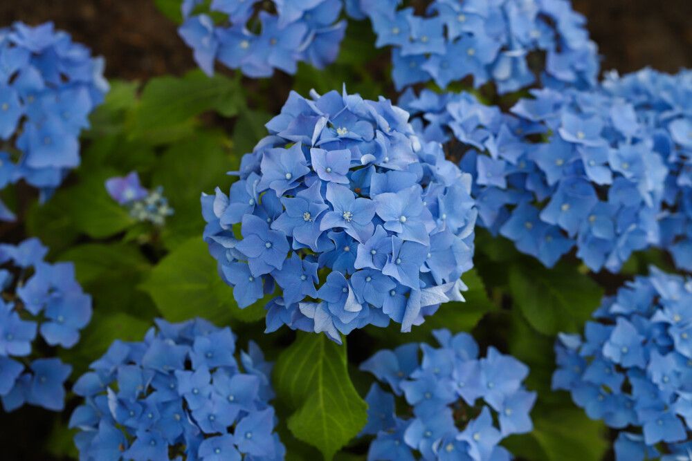 Photograph by Ольга Шестакова