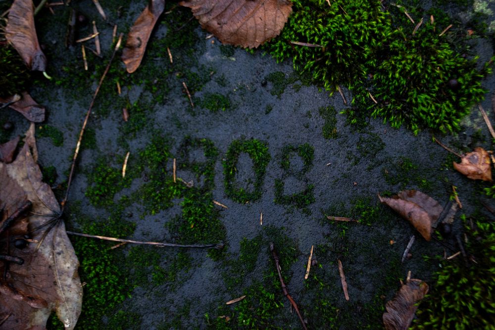 Photograph by Lina Slavinskaya