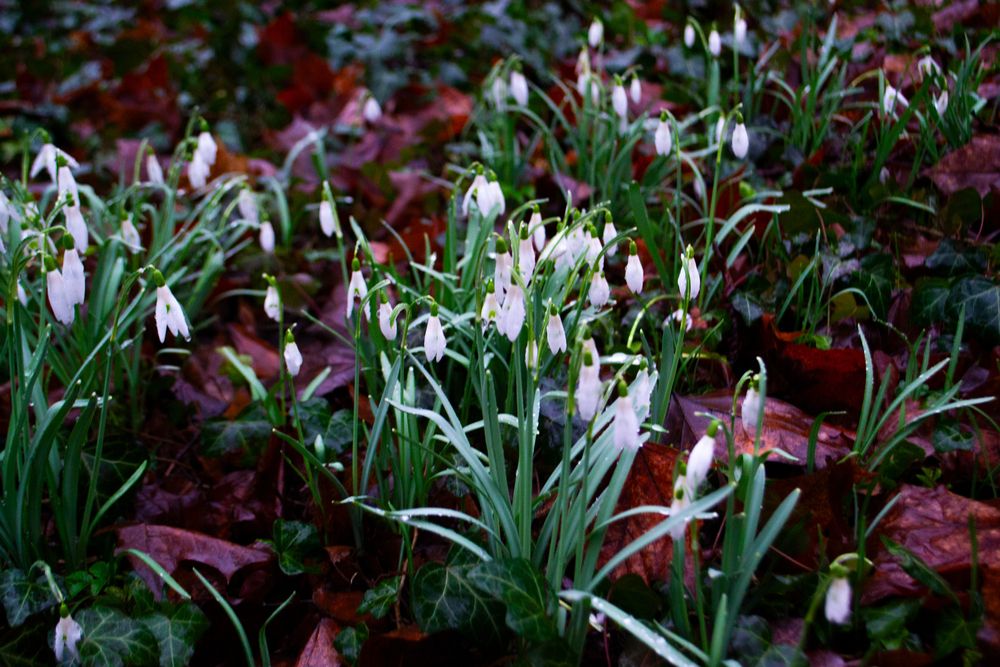 Photograph by Lina Slavinskaya