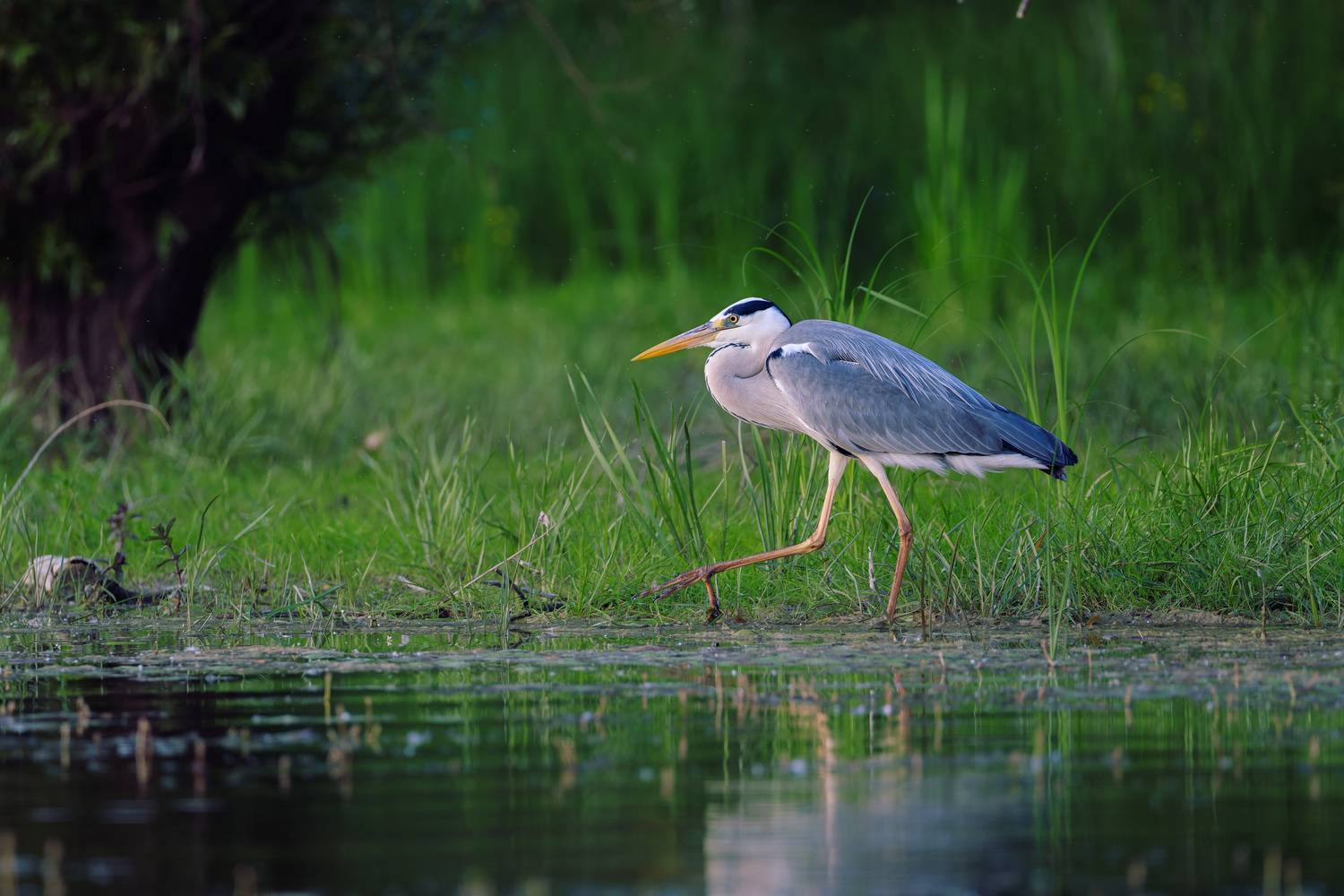 Фотография #13176102