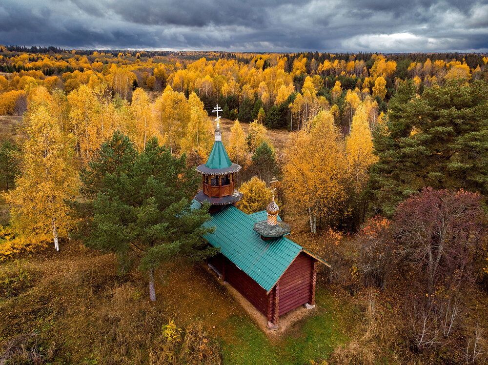 Фотография автора Тимофей Шутов