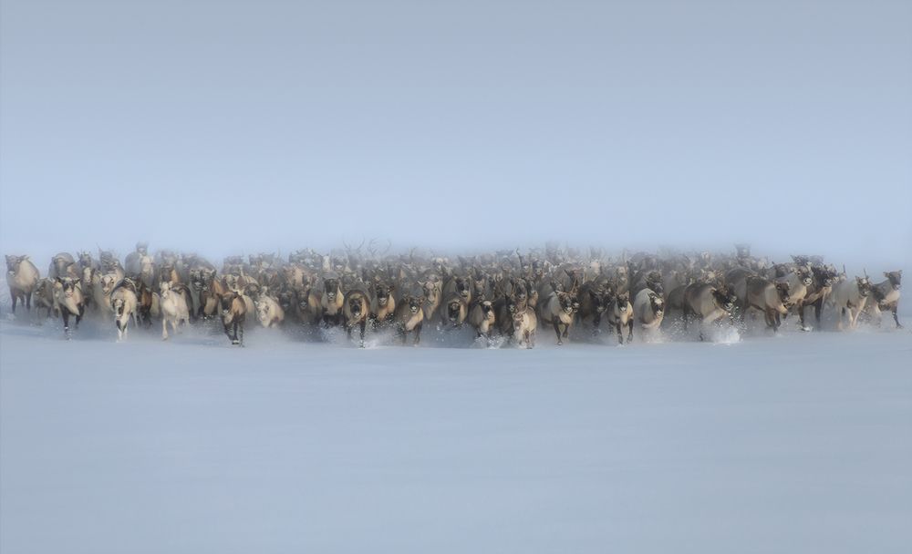 Photograph by Александр Чазов