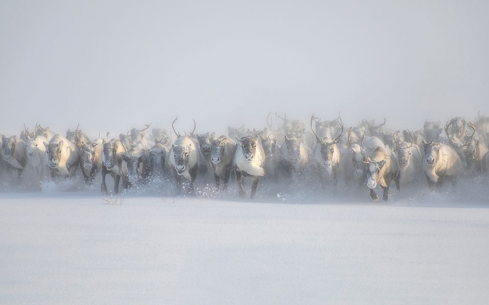 Photograph by Александр Чазов