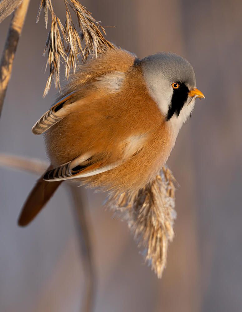 Photograph by Белов Александр