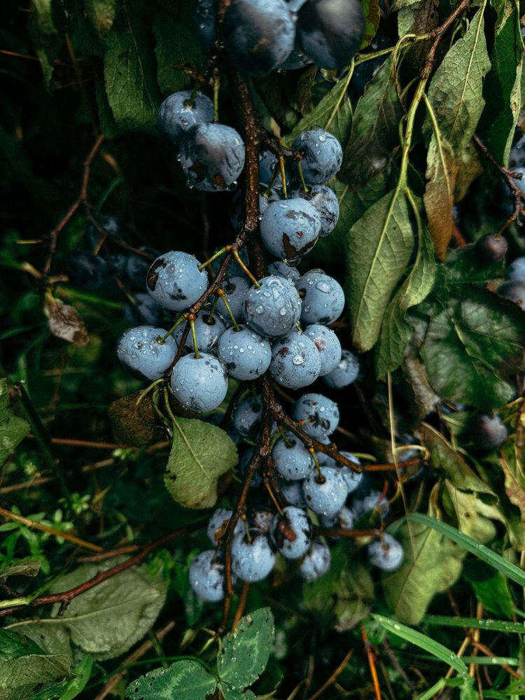 Photograph by Наталья Чехова