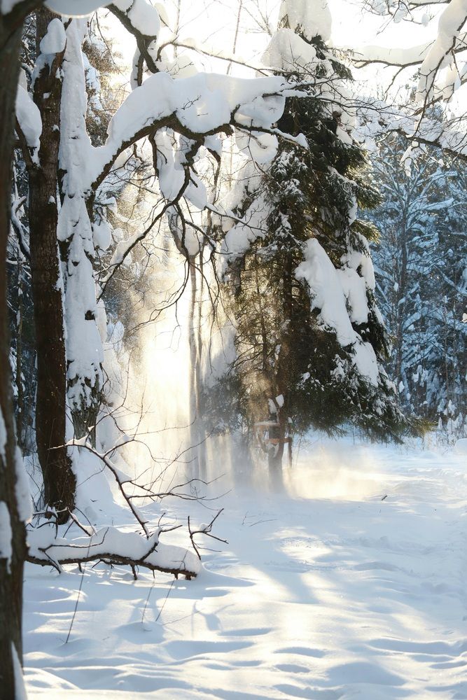 Photograph by Татьяна