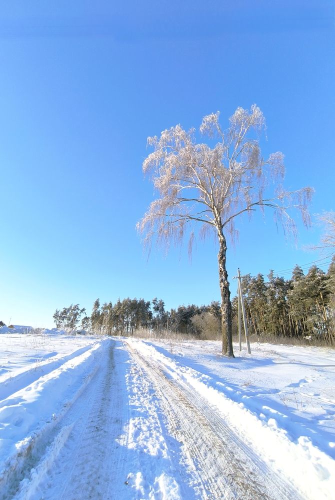 Photograph by Александр Житник