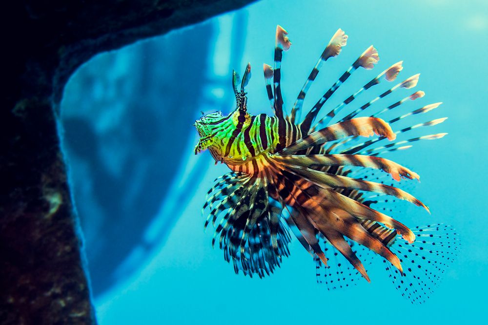 Photograph by Дмитрий Буканов