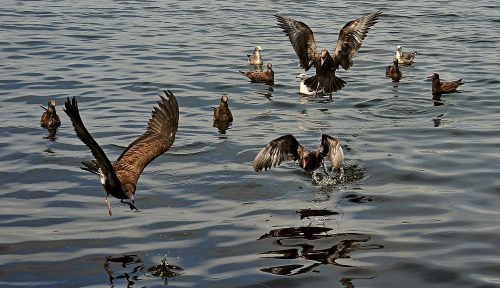 Кто первый.