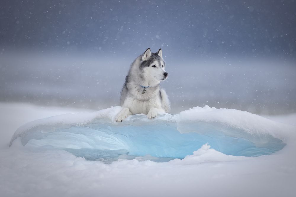 Photograph by Светлана Писарева