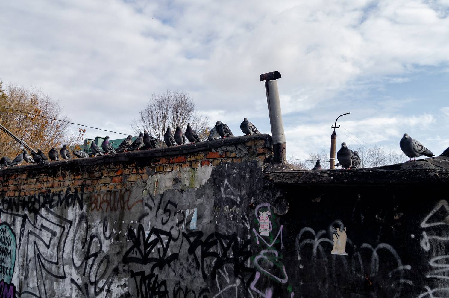 Photo #13176317