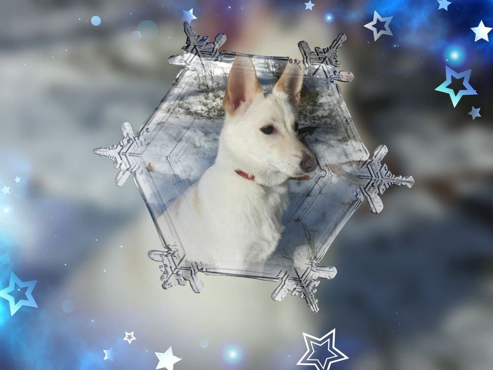 Photograph by Юлия