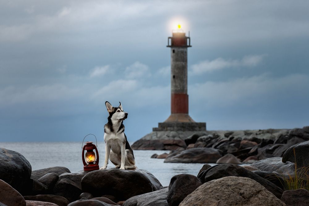 Photograph by Светлана Писарева