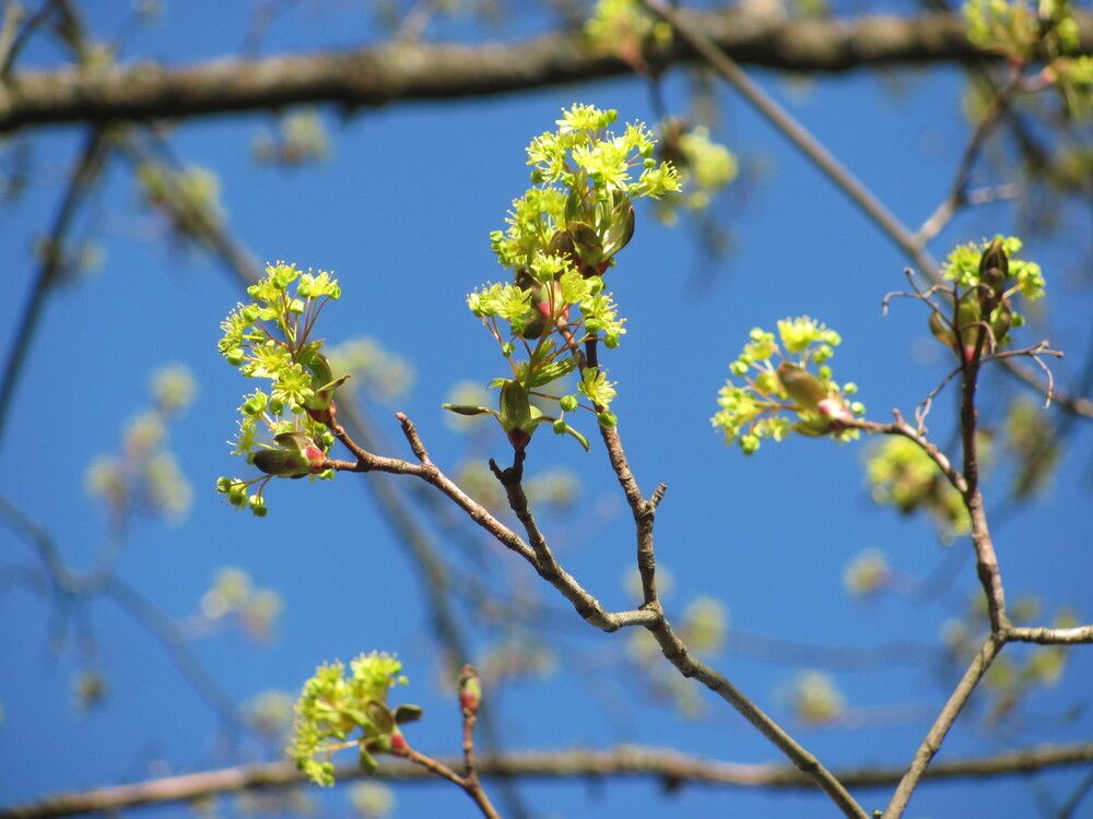 Photograph by Юлия