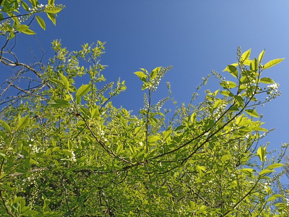 Photograph by Юлия