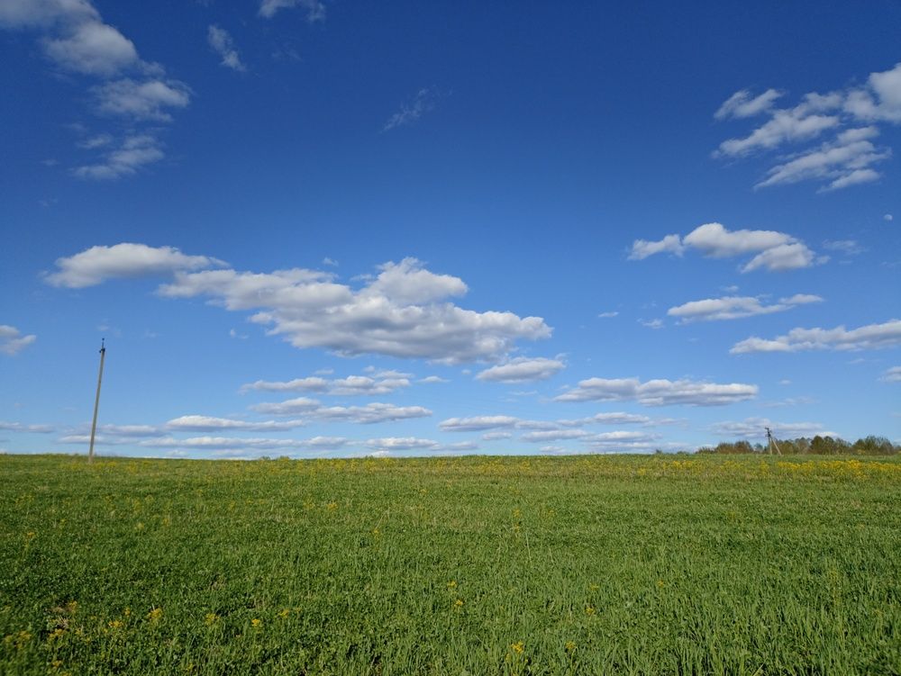 Photograph by Юлия