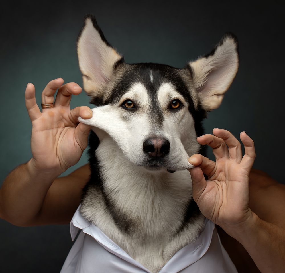 Photograph by Светлана Писарева