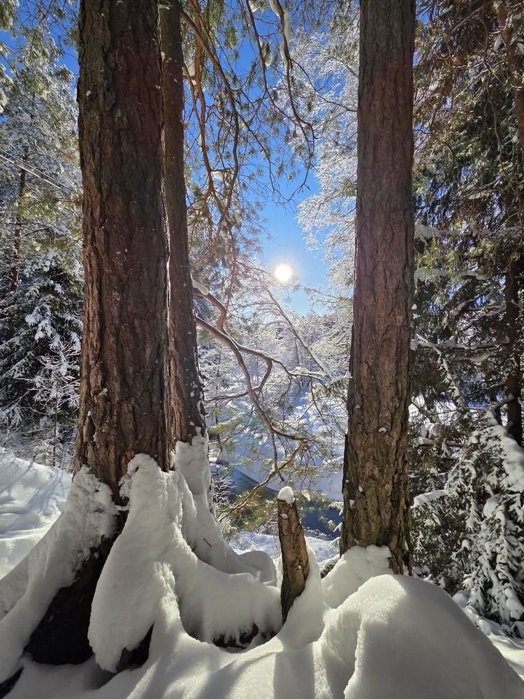 Фотография автора Elena Polonetskaya