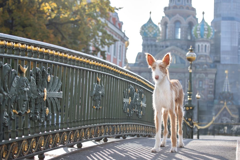 Photograph by Светлана Писарева