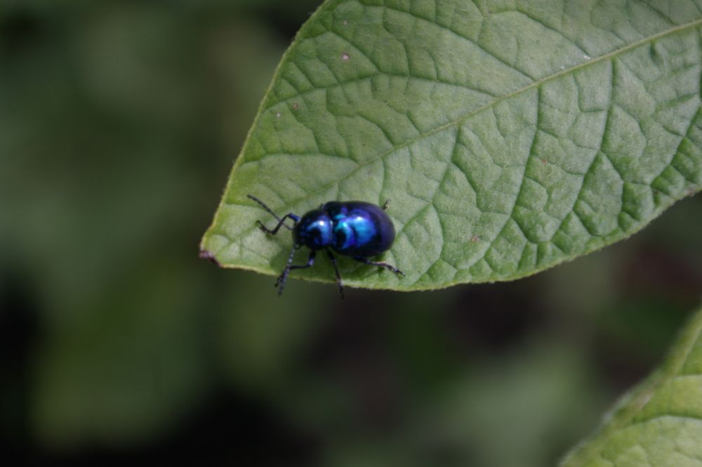 Photograph by Елена Алешкевич