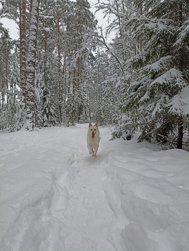 Photograph by Юлия