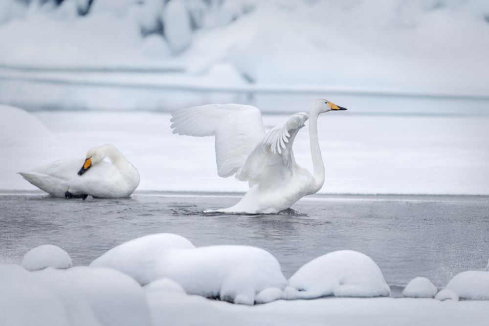 Photograph by Светлана Писарева