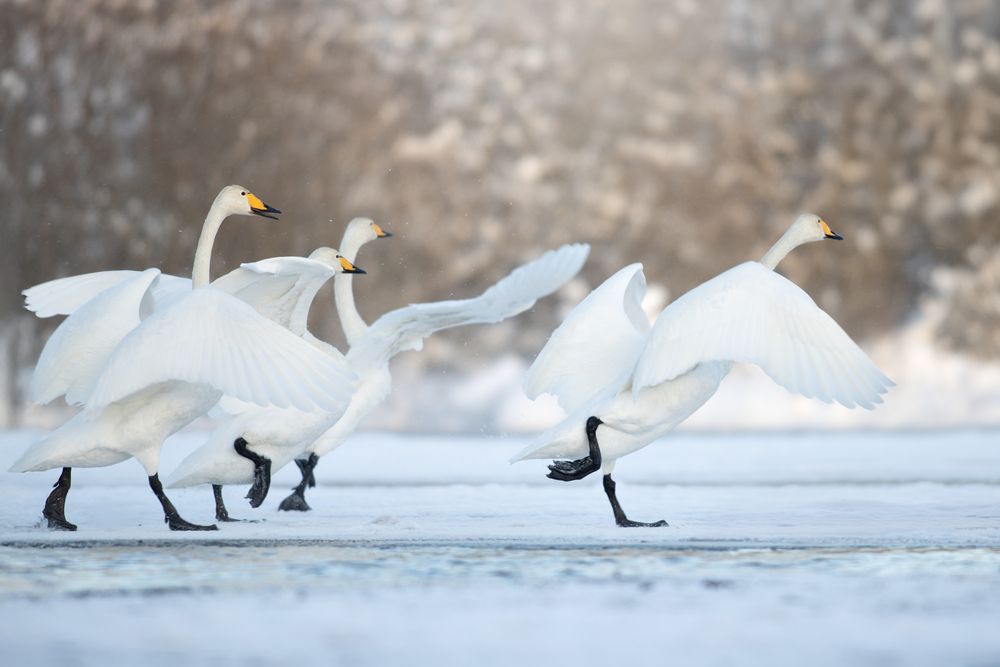 Photograph by Светлана Писарева
