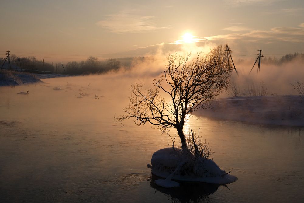 Photograph by Михаил Рогачев