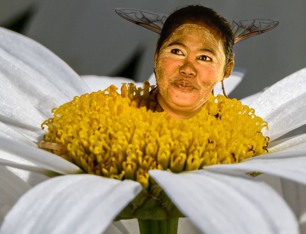 Фотография автора Анна Стрелковская