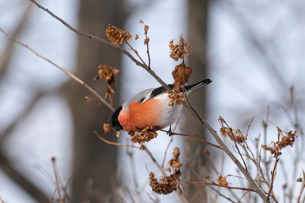 Photograph by Мороз Олег