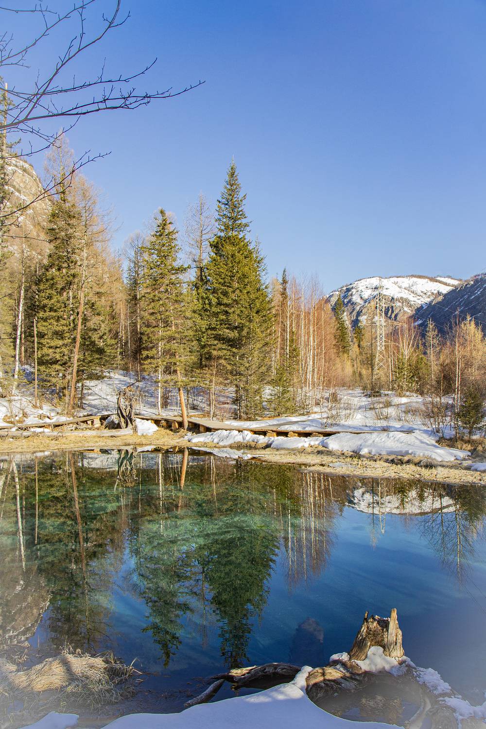 Фотография #13176499