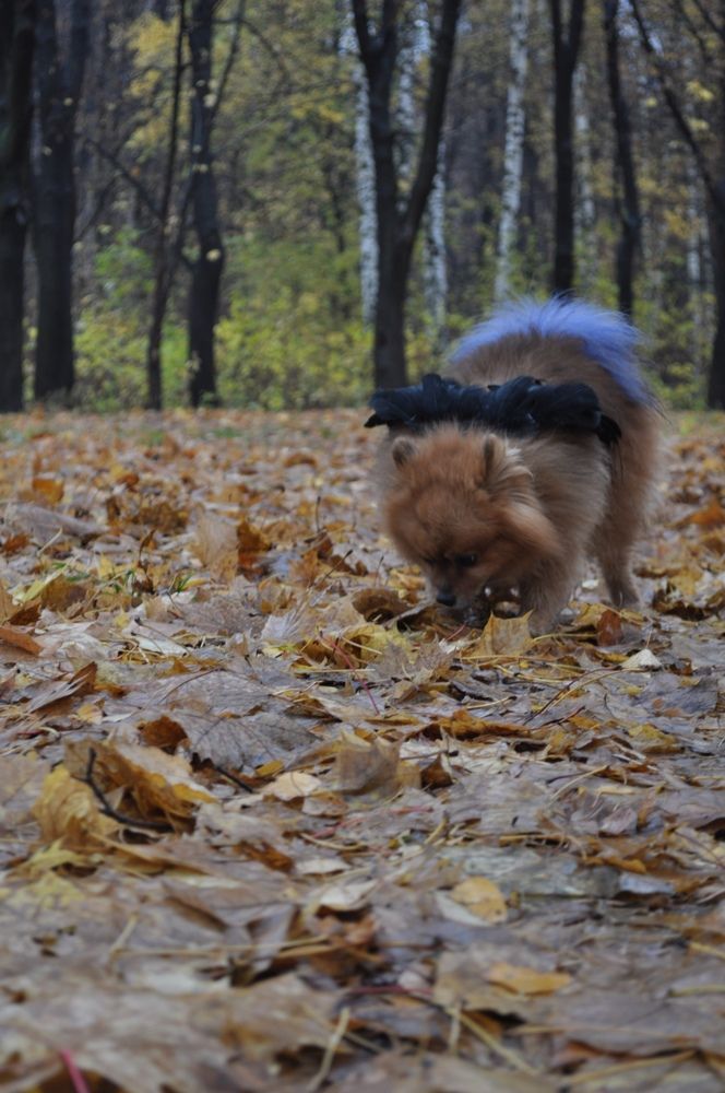 Photograph by Виктория Козакова