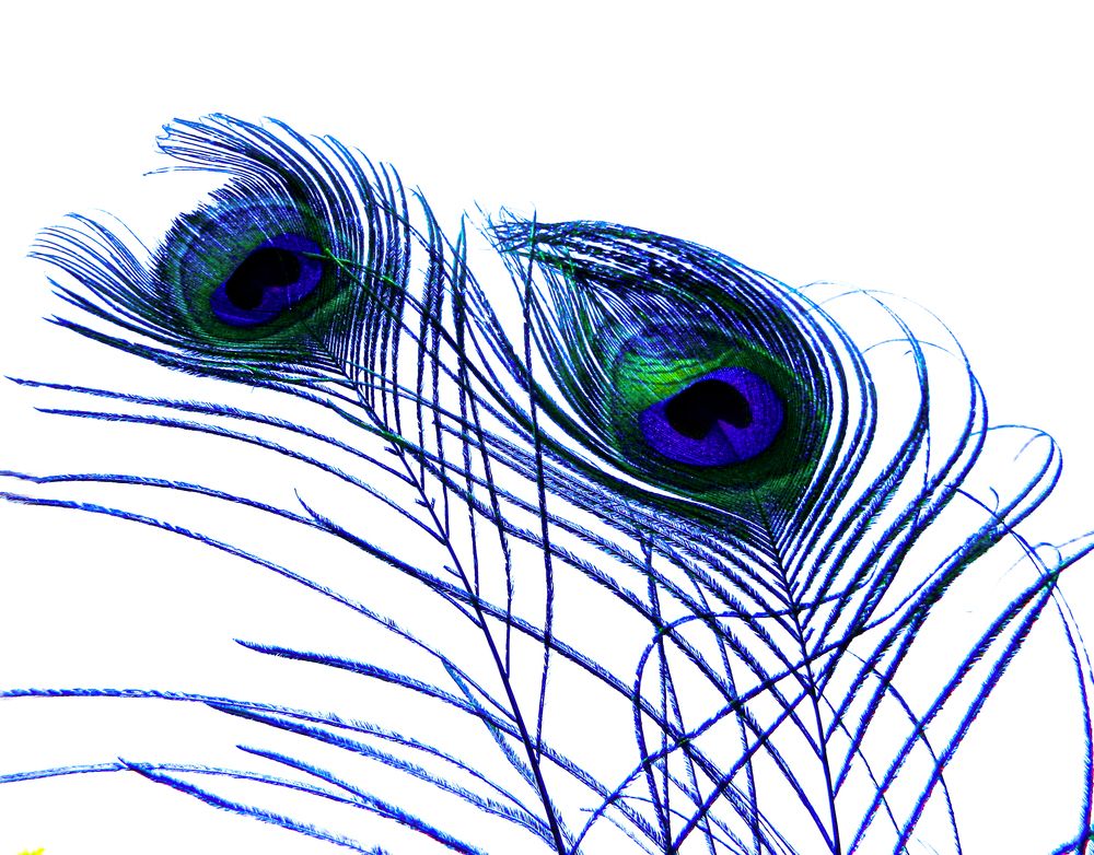 Photograph by Viviana García