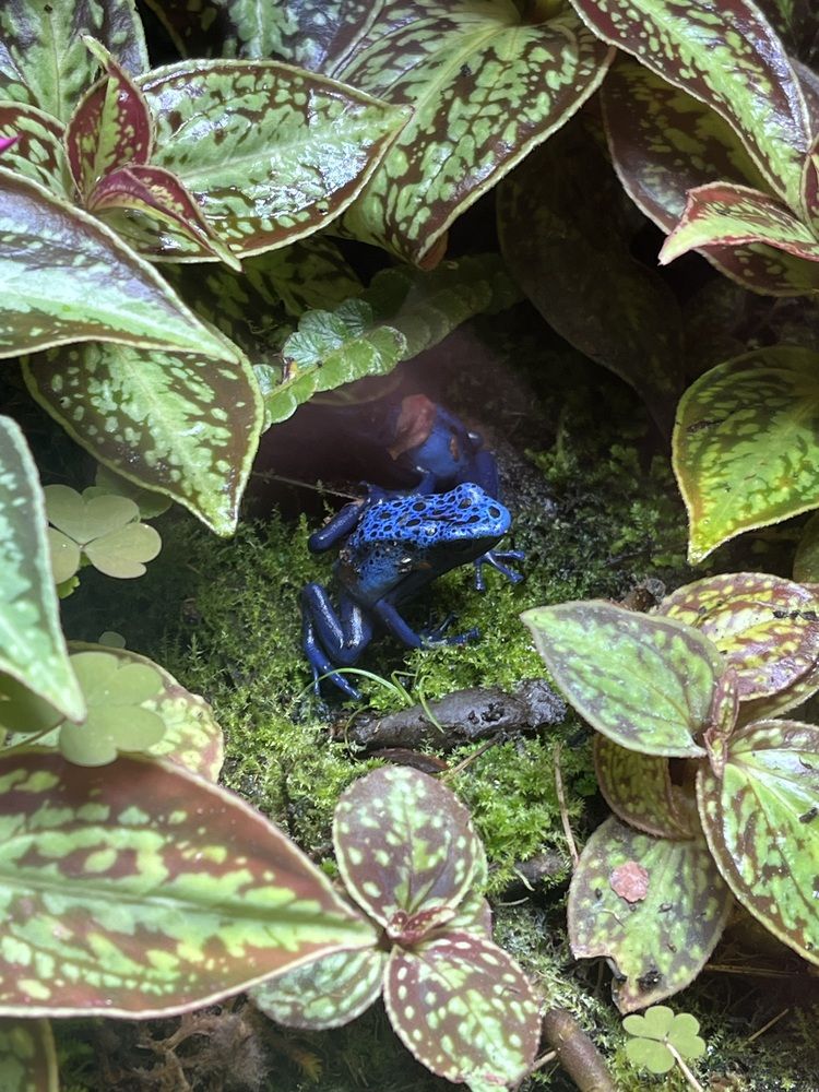 Фотография автора Виктория Ляпина