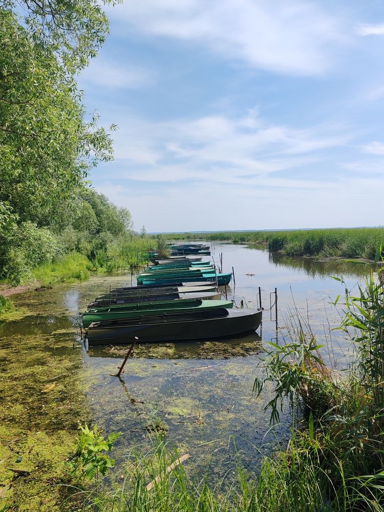 Фотография автора Кравцова Светлана