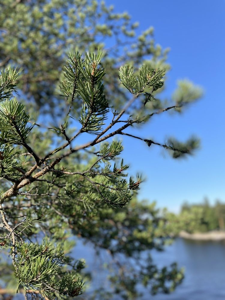 Photograph by Марина Максимова