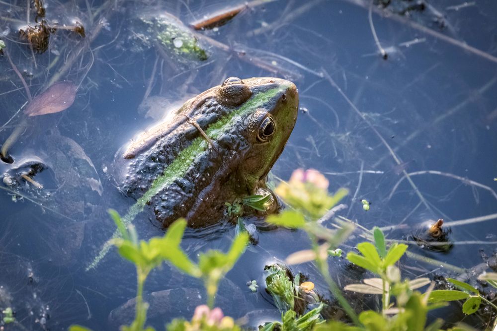 Photograph by Роман Гурененко