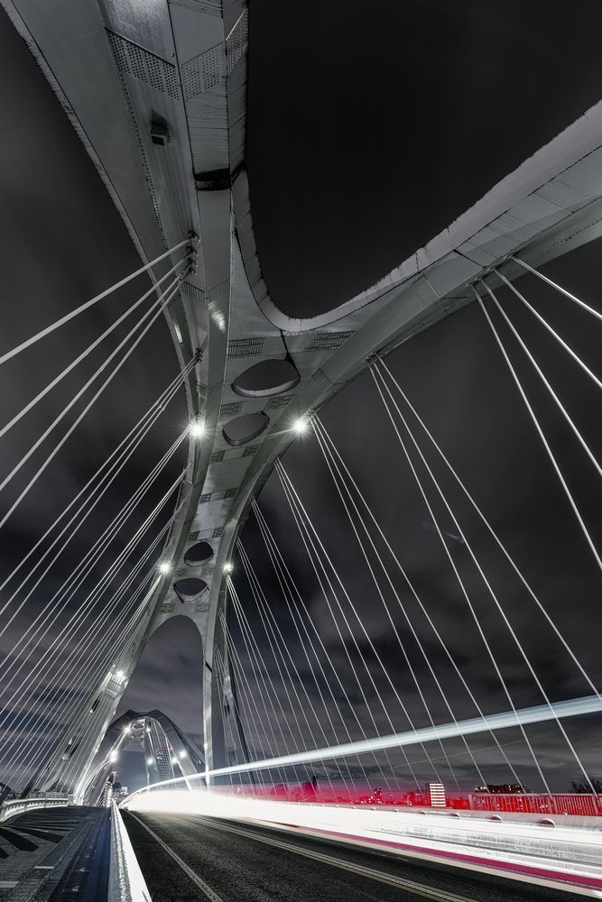 Suspended Geometry