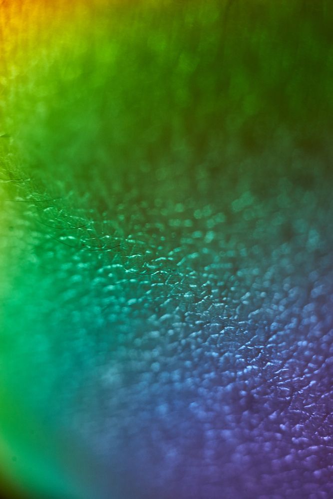 Photograph by Неман Лариса