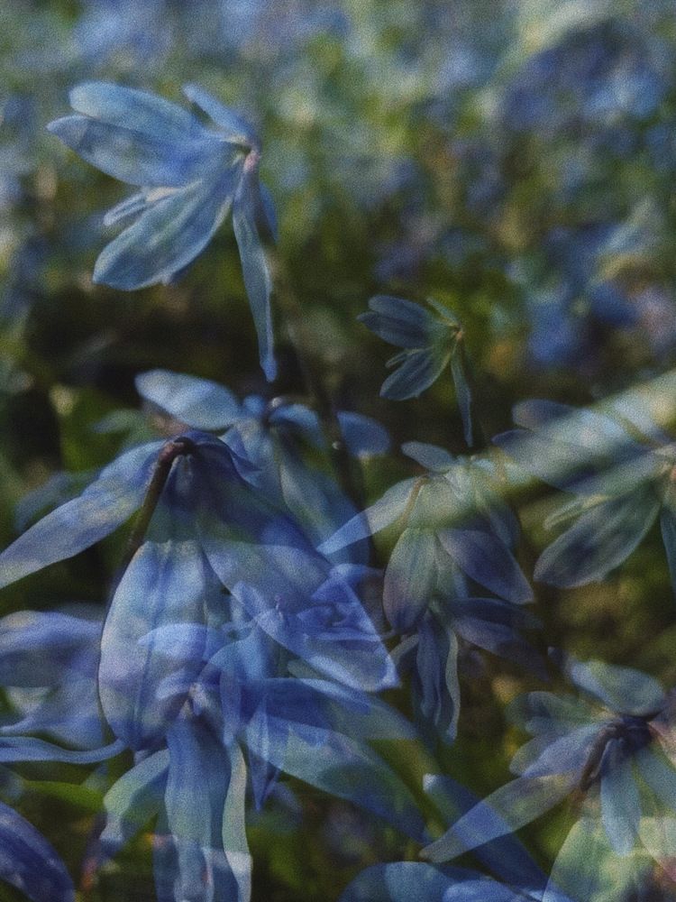 Photograph by Екатерина Кузнецова