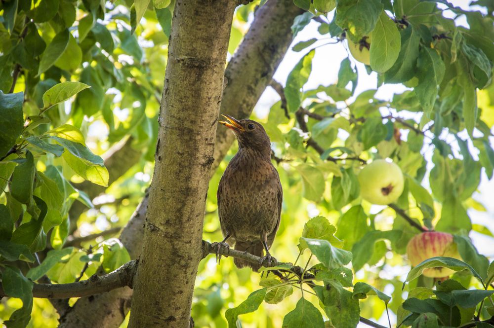 Photograph by Михаил Еремеев