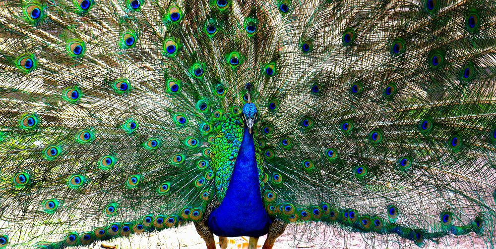 Photograph by Viviana García