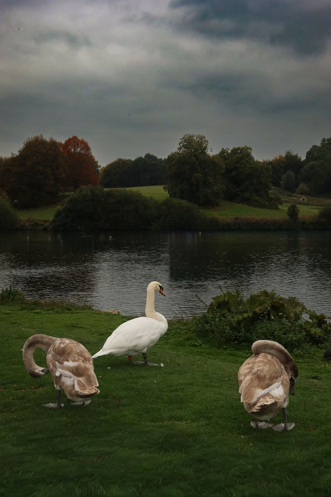 Photograph by Aziza Chinibekova