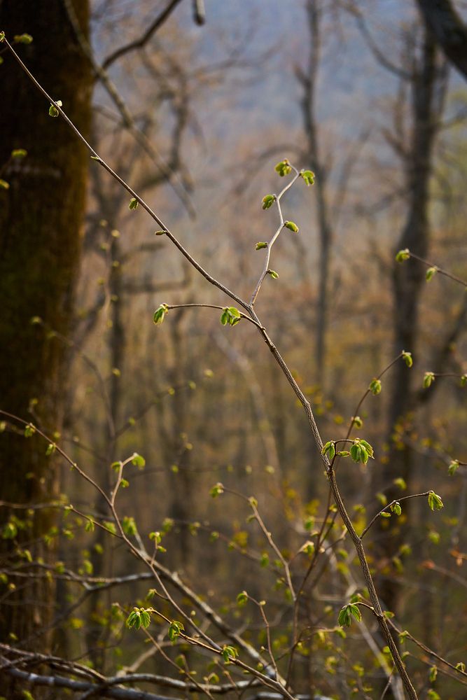 Photograph by Неман Лариса